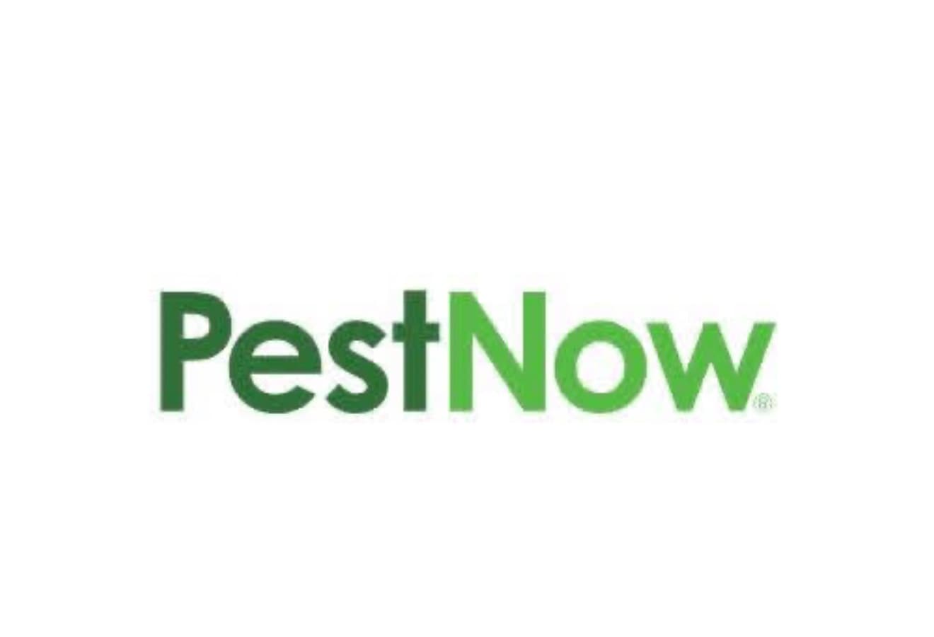 Pest Now